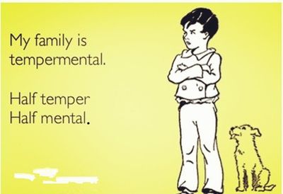 a boy standing next to a dog with the caption'my family is tempermental half termper half mental '