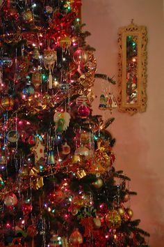 a decorated christmas tree in a living room next to a wall with pictures on it