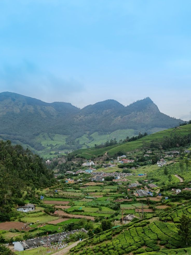 a lush green hillside covered in lots of trees next to a small town and mountains