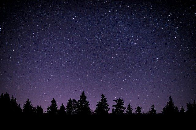 the night sky is filled with stars and trees