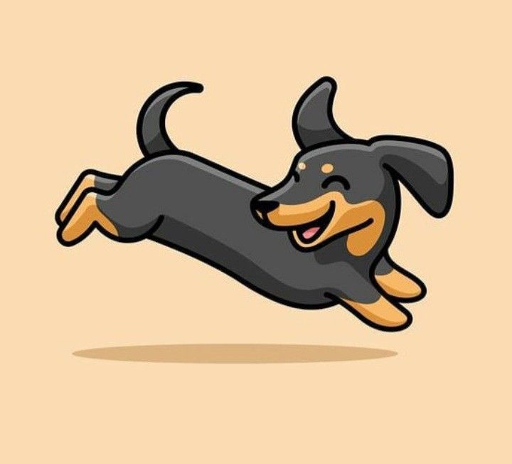 a black and brown dog jumping in the air