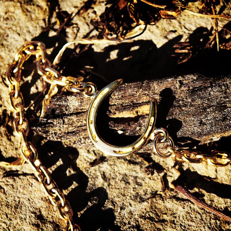 Treat yourself or someone you love to the gift of luck. Our lucky horseshoe bracelet will delight! Our horseshoe is available in sterling silver or gold vermeil (chain is sterling silver or gold filled). Horseshoe Bracelet, Lucky Horseshoe, Lucky Charm, A Bracelet, Sale Price, Silver And Gold, Gold Vermeil, Handcrafted Jewelry, The Gift