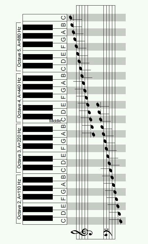 the piano keyboard is shown in black and white, with numbers on each side of it