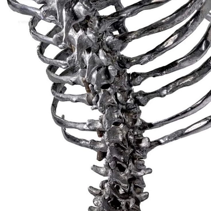 an image of a skeleton that is looking like it's in the middle of its body