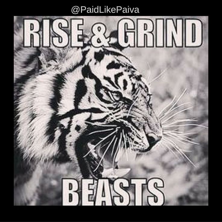 a black and white photo of a tiger with the words rise & grind beasts on it