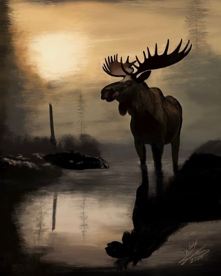 a moose is standing in the water at sunset