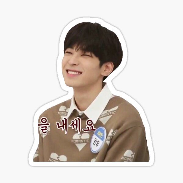 Kpop Stickers Seventeen, Wonwoo Stickers Printable, Seventeen Stickers Png, Svt Stickers Printable, Seventeen Stickers Printable, Wonwoo Sticker, Svt Stickers, Seventeen Stickers, Smiley Sticker