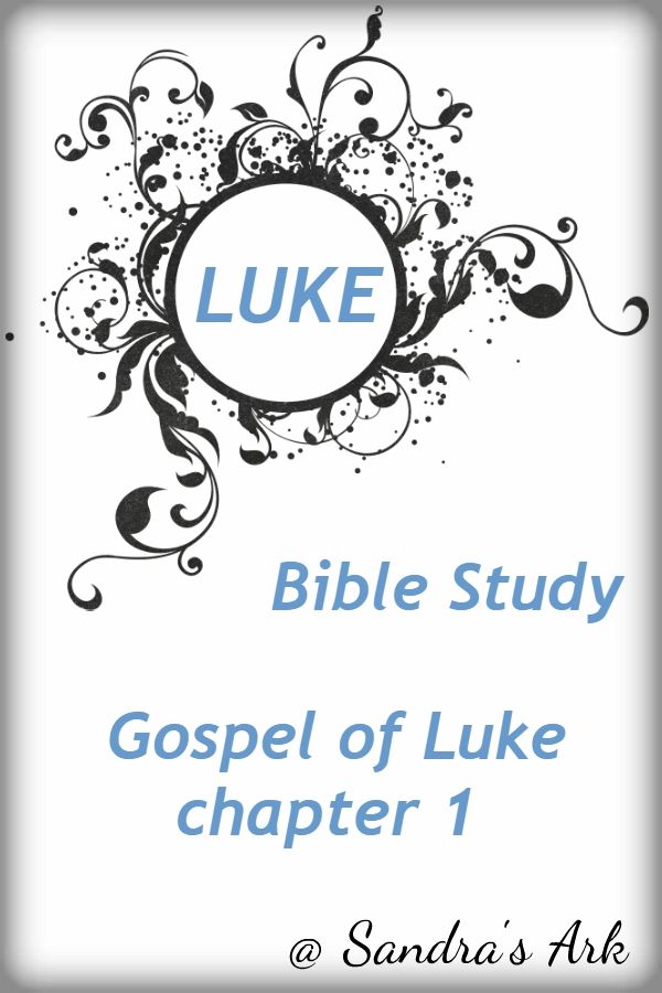 luke bible study book with the words luke on it and an image of a swirly design