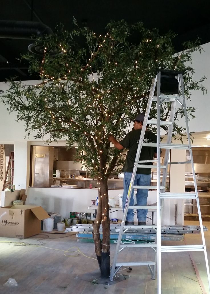 a man standing on a ladder next to a tree