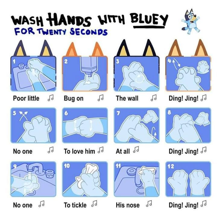 instructions to wash hands with bluey for twenty seconds