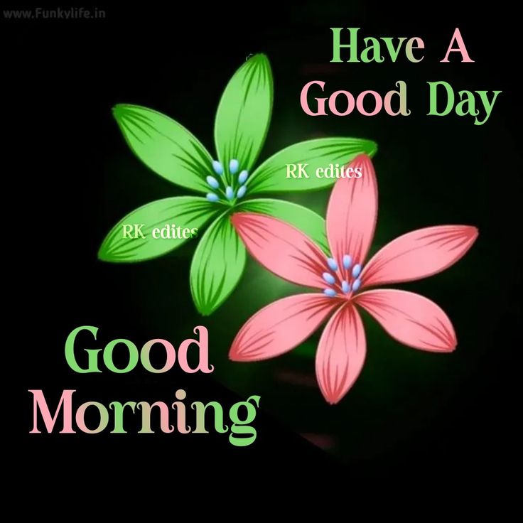 two pink flowers with green leaves and the words good morning