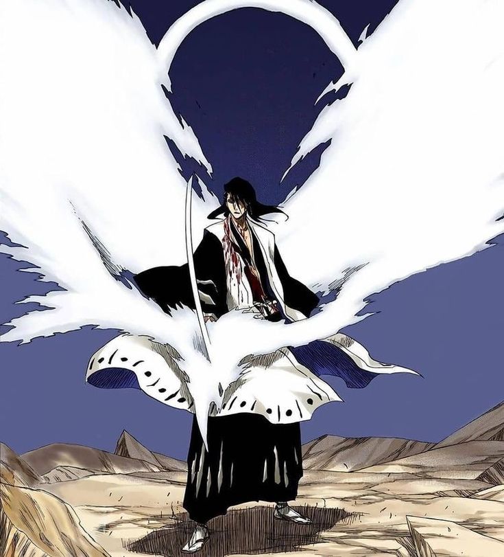 Byakuya Kuchiki Icon, Byakuya Bleach, Byakuya Kuchiki, Anime Character, Bleach, Anime, Hair, White, Black