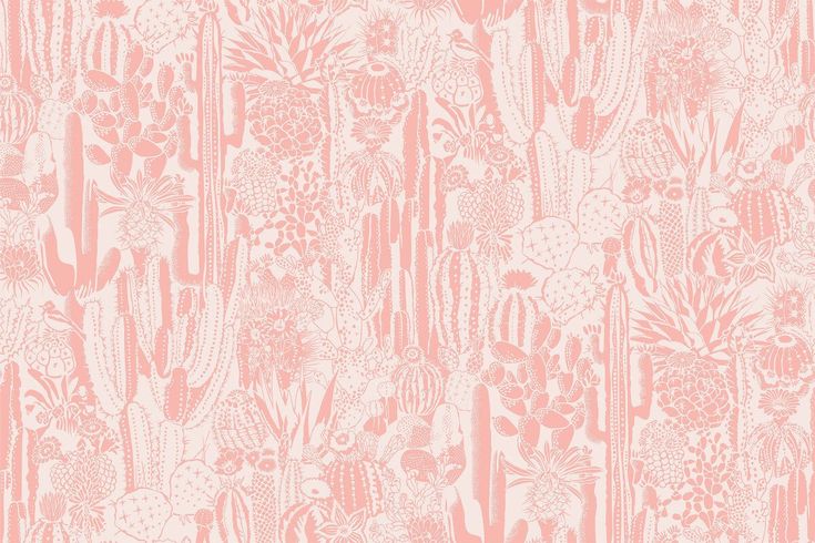 a pink and white wallpaper with many different types of cactuses on the side