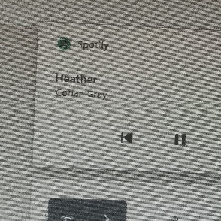 an image of the spotty button on a computer screen that says,'spotty'and'heather coran gray '