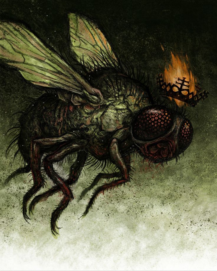 a drawing of a fly with fire coming out of it's eyes and wings