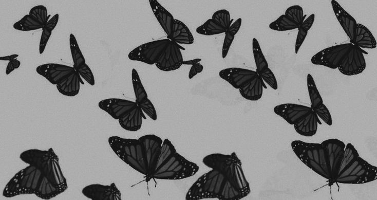 a group of black butterflies flying in the sky