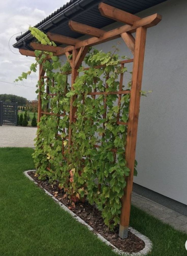 a trellis with lots of green plants growing on it's sides in front of a building