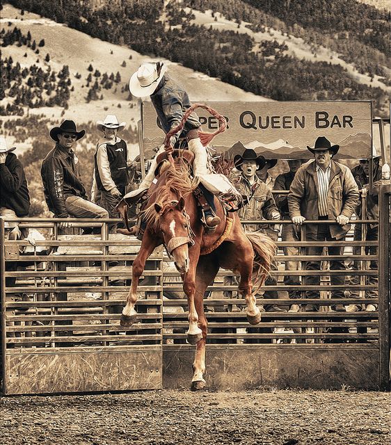 a man riding on the back of a brown horse in front of a group of people