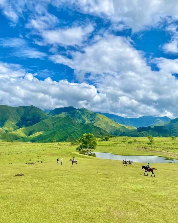 two people riding horses in a field with mountains in the background