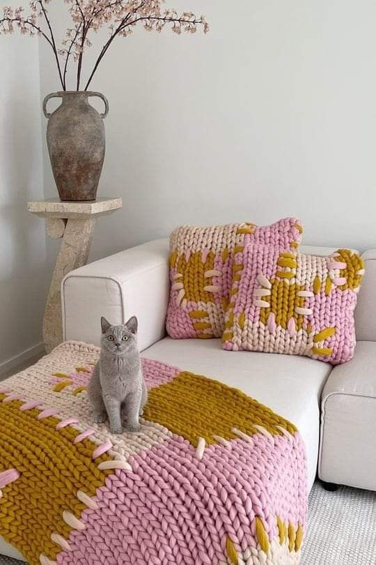 a cat is sitting on a blanket in front of a couch with pillows and a vase