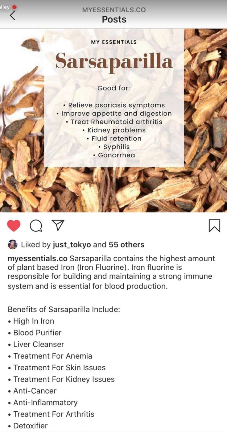 Benefits Of Sarsaparilla, Sarsaparilla Benefits, Homeopathy Remedies, Medical Herbs, Sick Remedies, Holistic Remedies, Natural Healing Remedies, Herbal Healing, Herbs For Health