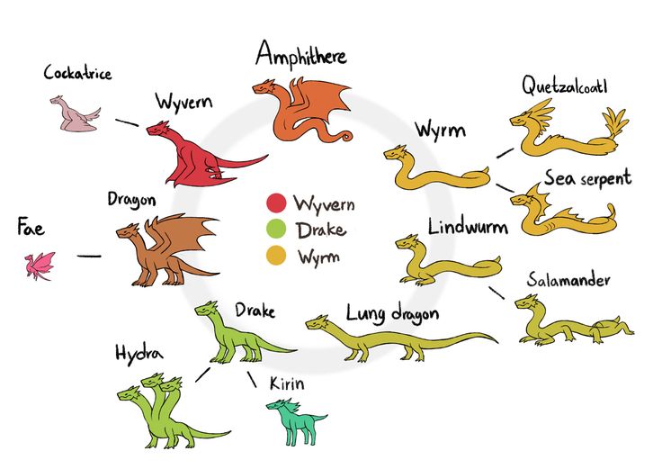 the different types of dinosaurs that can be found in an animal's life cycle