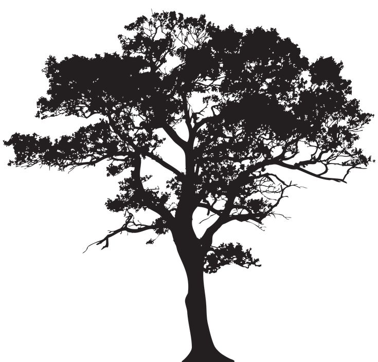 a black and white silhouette of a tree