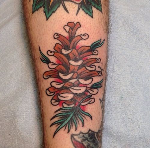 a tattoo on the leg of a man with a pine cone and leaves around it