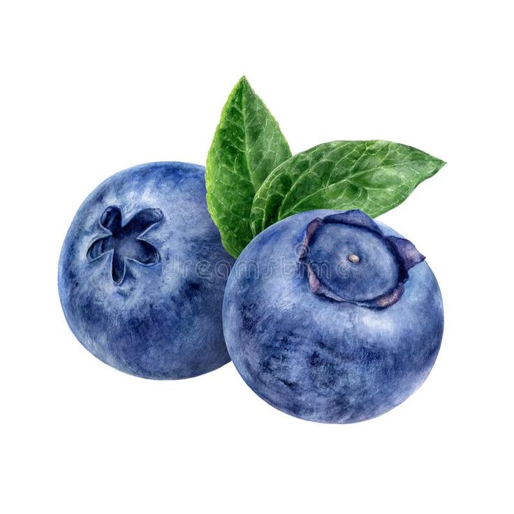 two blueberries with green leaves on top