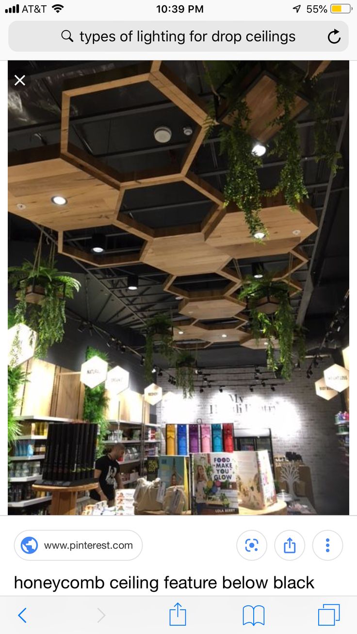 an instagram page with plants hanging from the ceiling