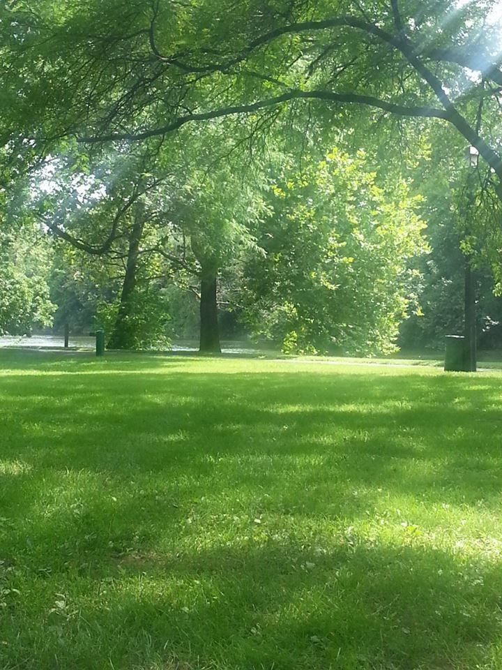 the sun shines through the trees in a park area with green grass and tall, leafy trees