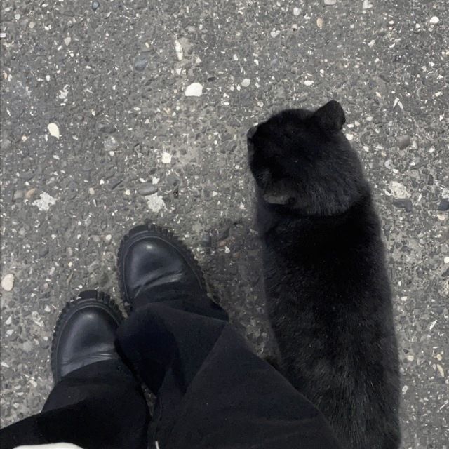 a black cat sitting next to someone's feet on the ground