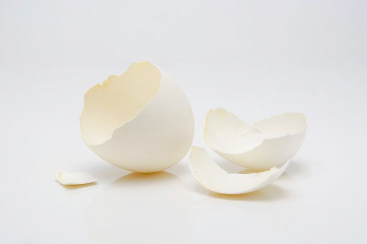 an open egg shell with one broken in half on a white surface, next to the whole eggshell