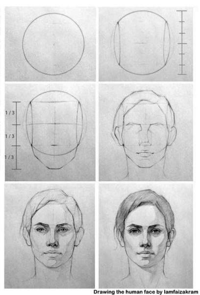 the steps to draw a woman's face