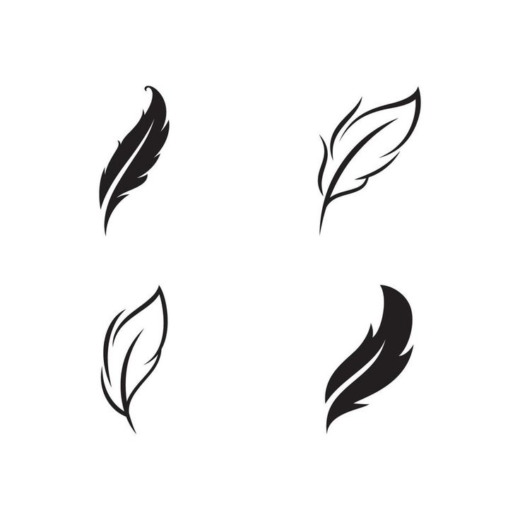 four different types of feathers on a white background