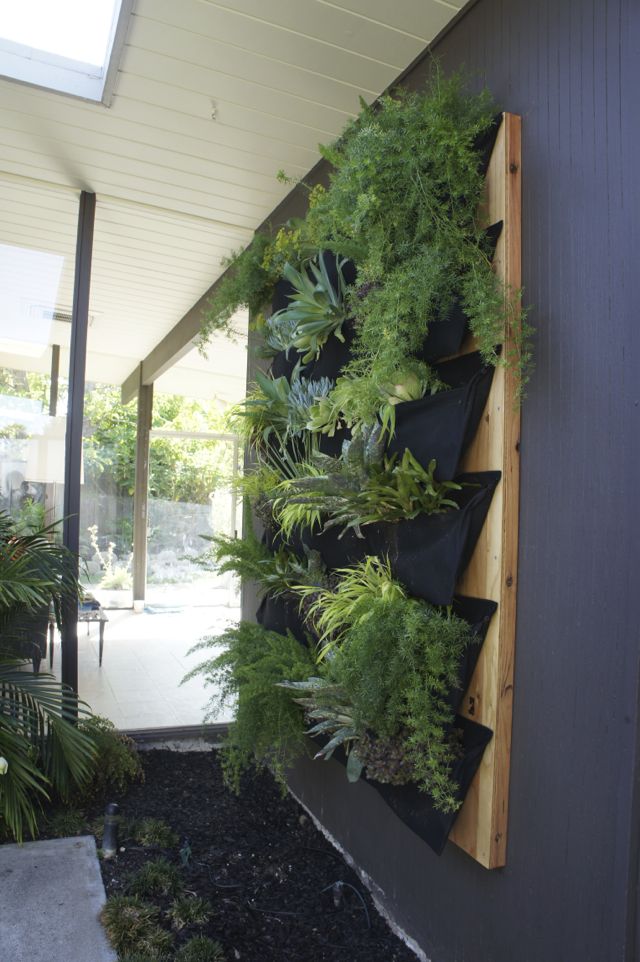 a vertical garden on the side of a house