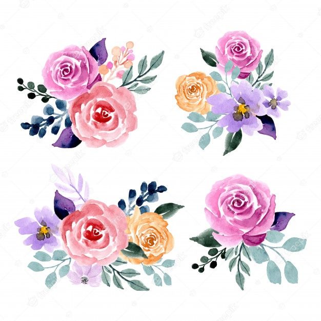 watercolor roses and leaves on white background