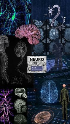 the neuro is an organ system that has been developed to help people understand their brain functions