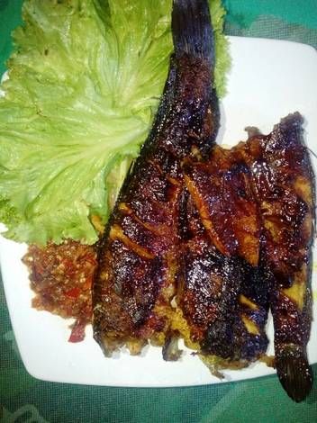 a white plate topped with meat and lettuce on top of a green table