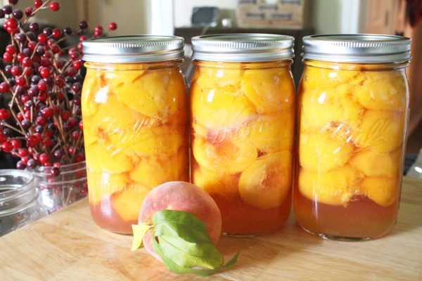 three jars filled with peaches sitting on top of a wooden table next to a plant