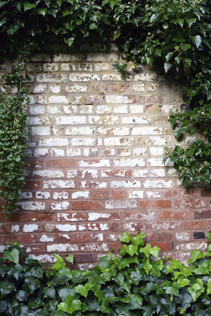 an old brick wall covered in ivy