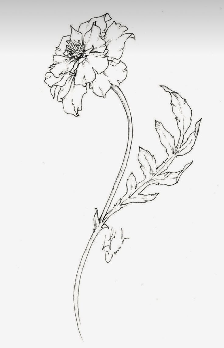 a black and white drawing of a flower