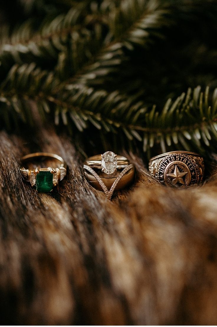 three different rings sitting on top of a fur covered floor next to a pine tree