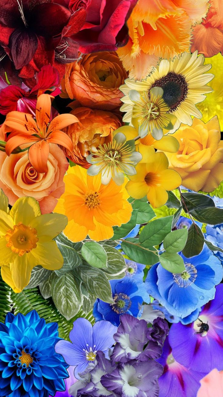 many different colored flowers are arranged together