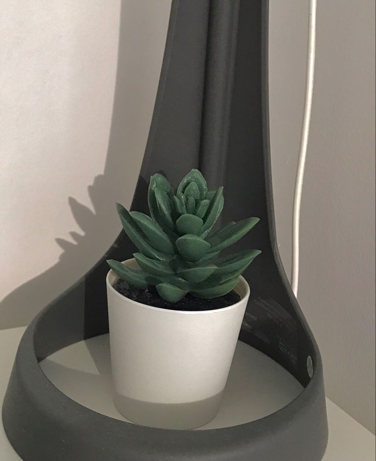 a potted plant sitting on top of a white table