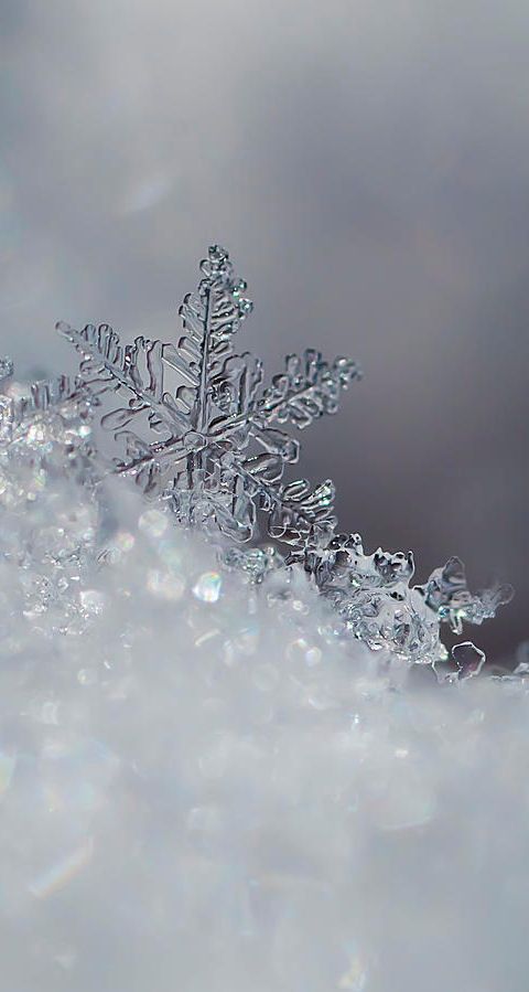 a snowflake is shown in the middle of some white snow and it looks to be melting