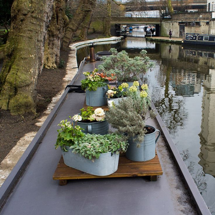 there are many potted plants lined up on the edge of a boat dock near water