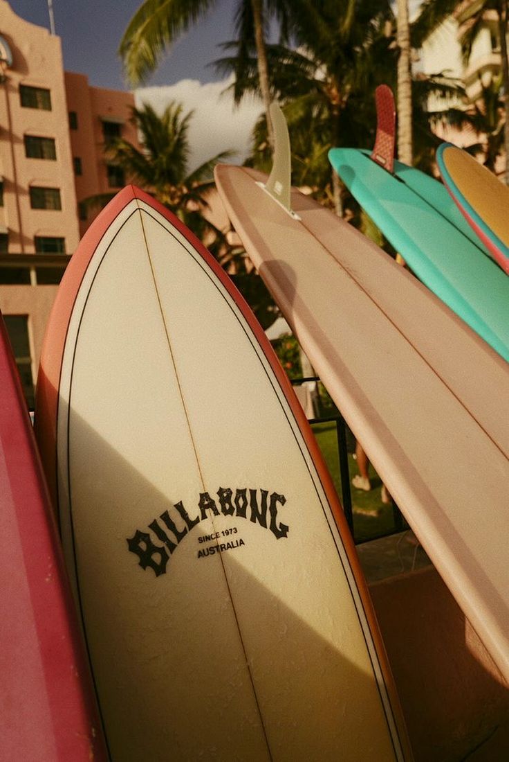 several surfboards are lined up in front of a building with palm trees behind them