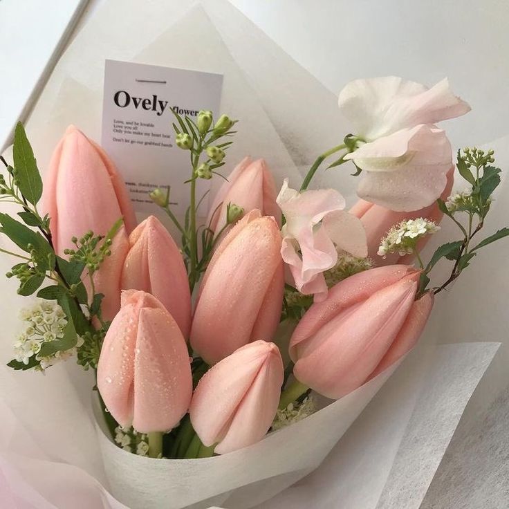 a bouquet of pink tulips and white flowers