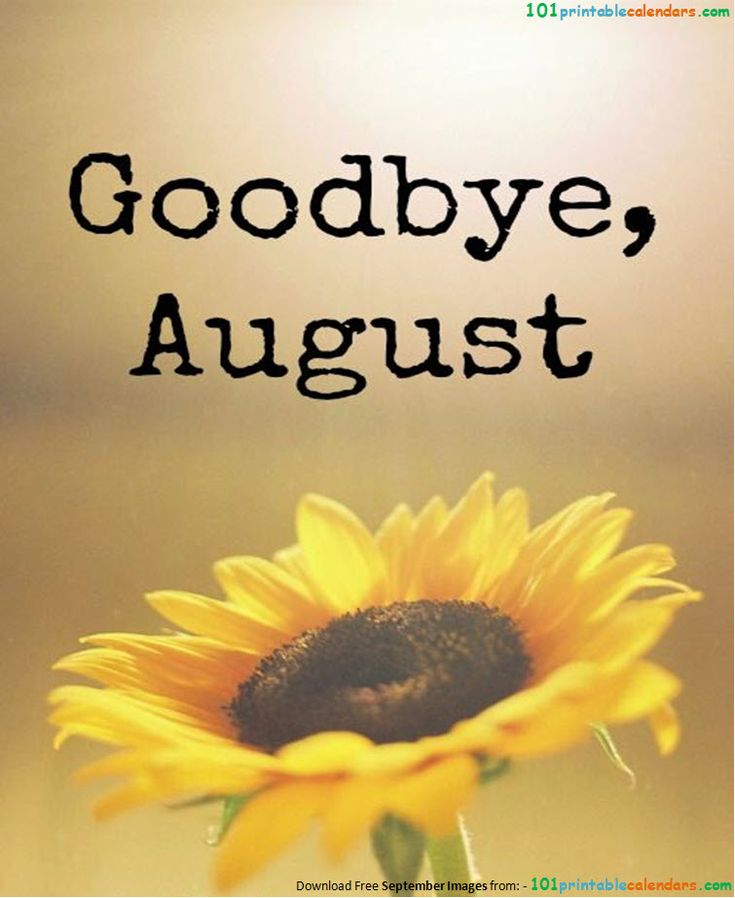 Goodbye August Images on Pinterest Welcome September Images, Hello September Quotes, Hello August Images, Bye August, Hello September Images, Goodbye August, September Pictures, September Images, Last Day Of The Month